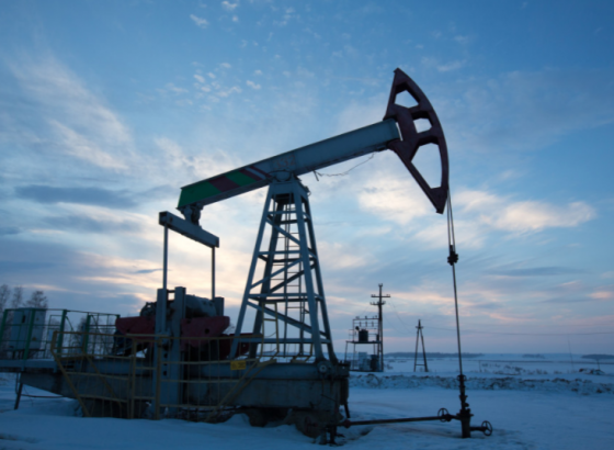 Новак ожидает цену нефти